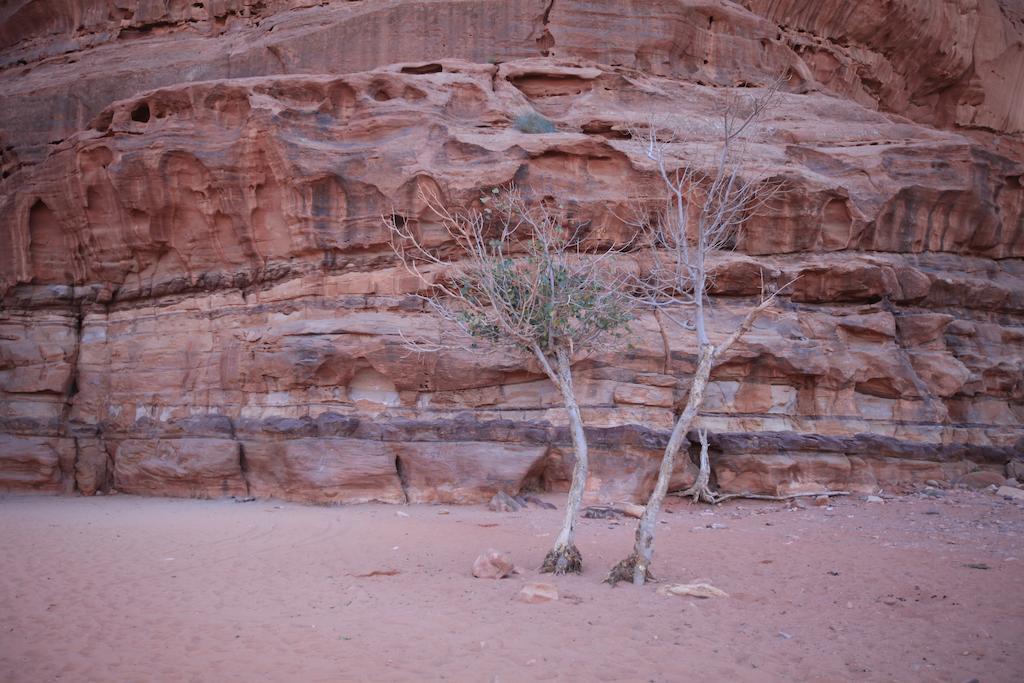 Bedouin Expedition Ваді-Рам Екстер'єр фото