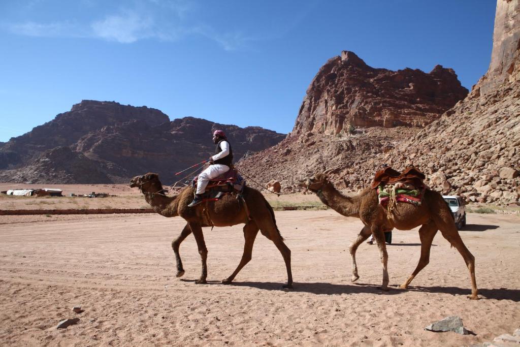Bedouin Expedition Ваді-Рам Екстер'єр фото