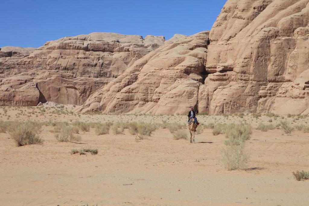Bedouin Expedition Ваді-Рам Екстер'єр фото