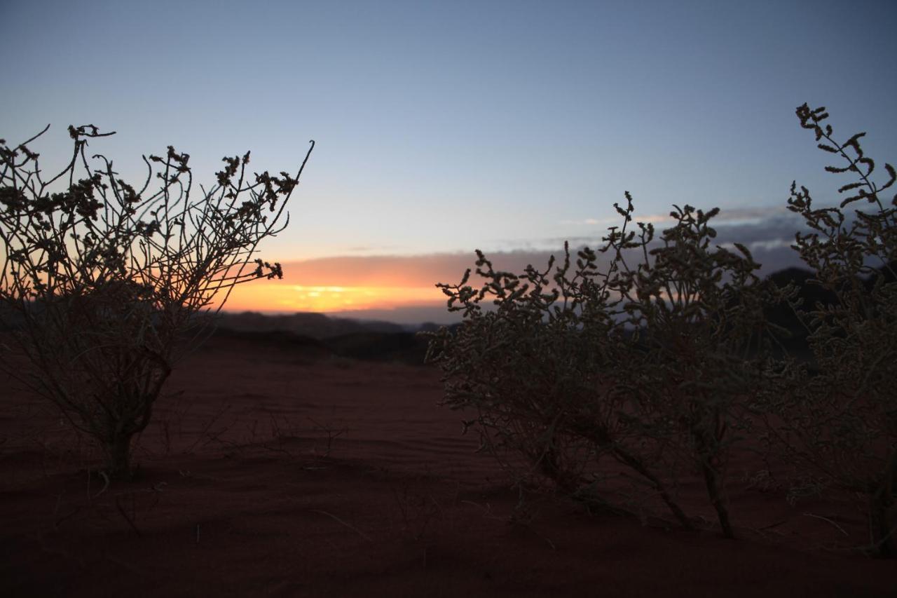 Bedouin Expedition Ваді-Рам Екстер'єр фото