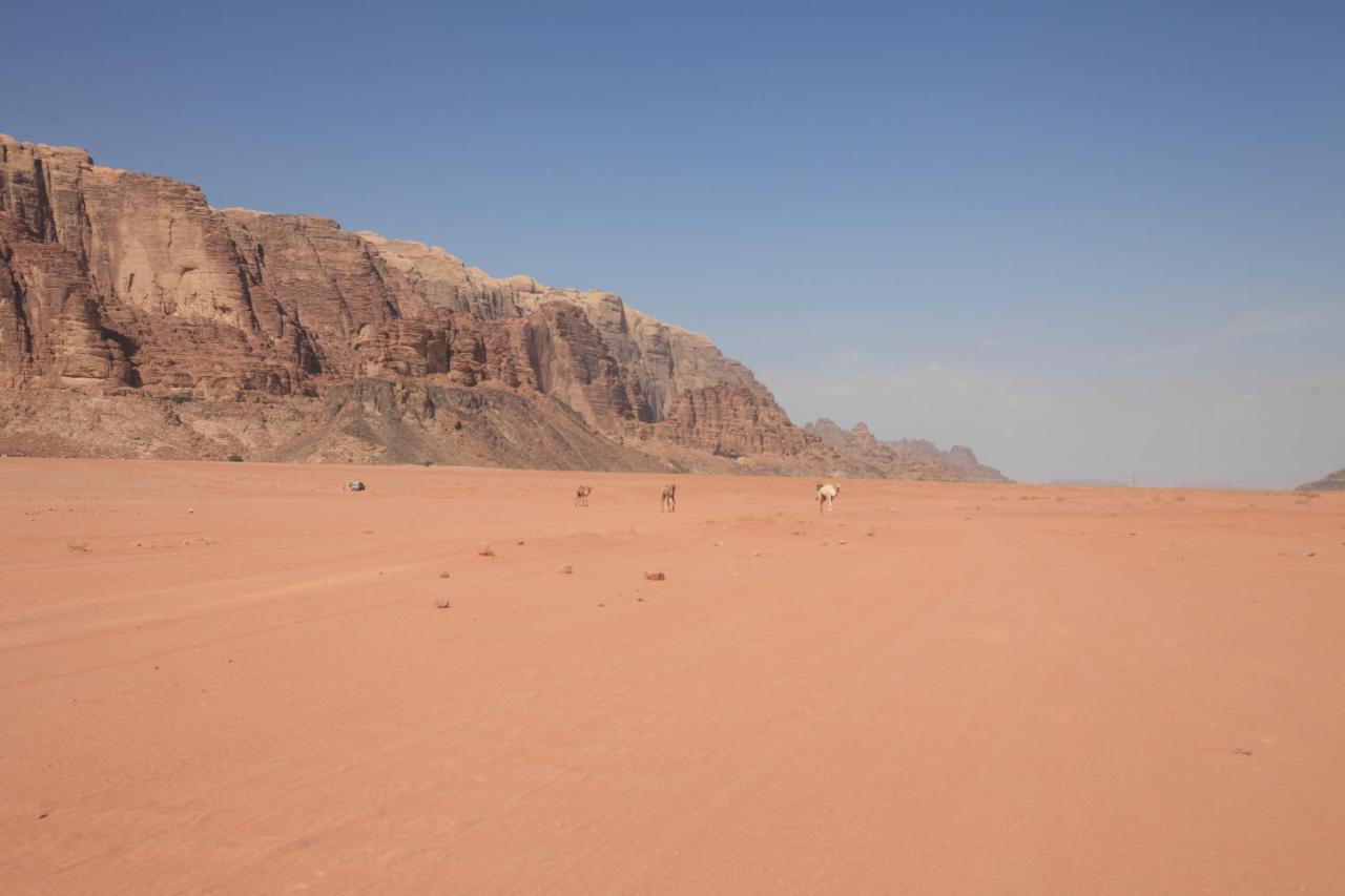 Bedouin Expedition Ваді-Рам Екстер'єр фото